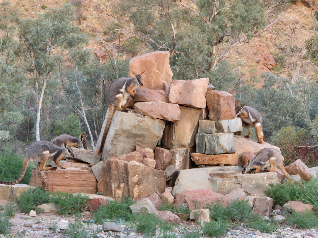 Australian Air Safaris-Moorabbin必去景点