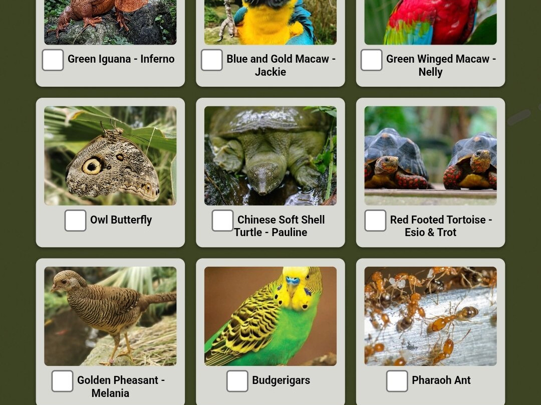Bugtopia Hornsea Zoo-Hornsea必去景点