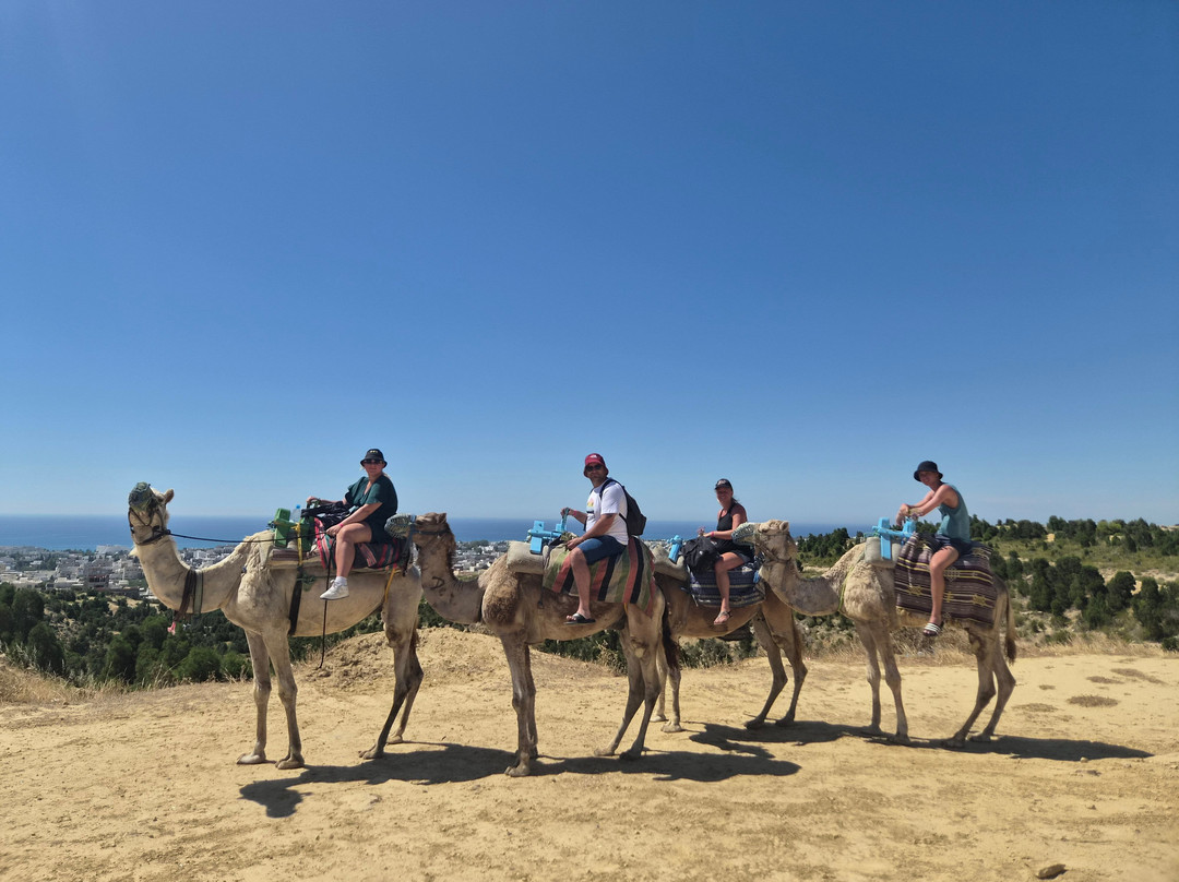 Hammamet Beach主图