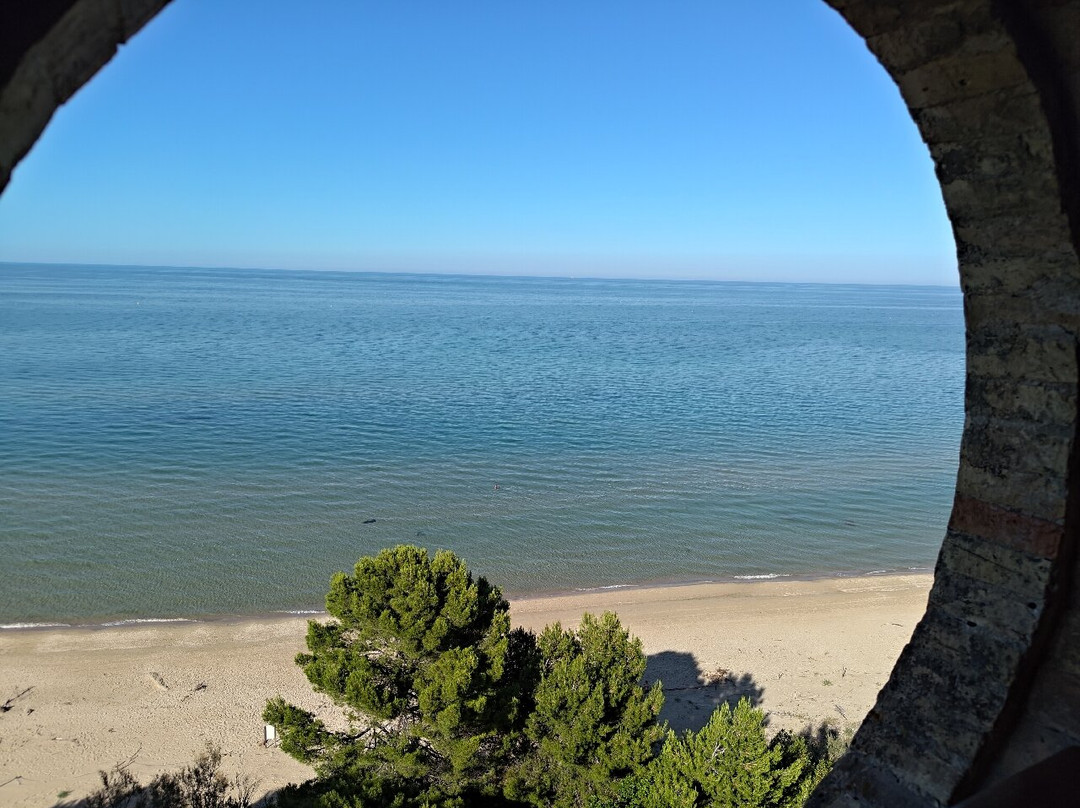 Area Marina Protetta Torre del Cerrano-Pineto必去景点