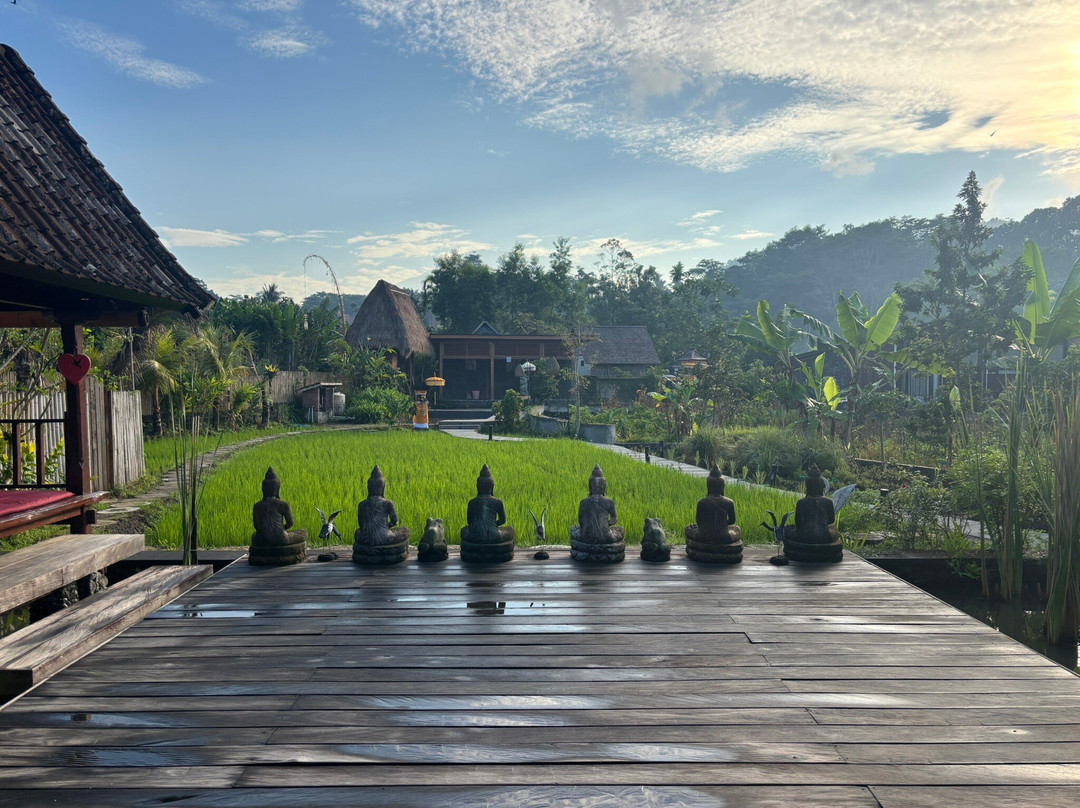 Anandinii Organic Garden & Kitchen-席德门必去景点