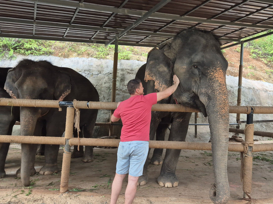 Phuket Guide Driver-Wichit必去景点