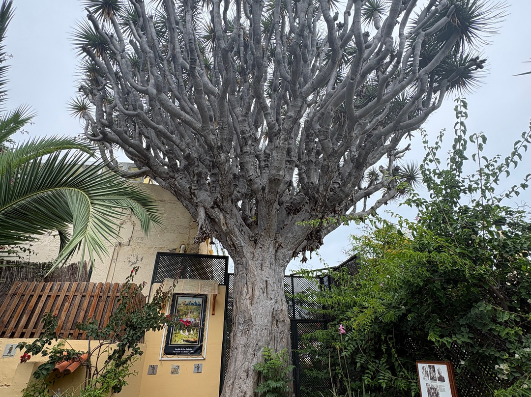 Jardin de Orquideas de Sitio Litre-德拉克鲁兹索尔港必去景点
