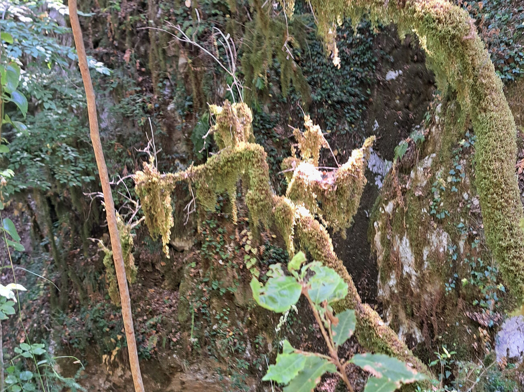 Oasi WWF Grotte del Bussento-Morigerati必去景点