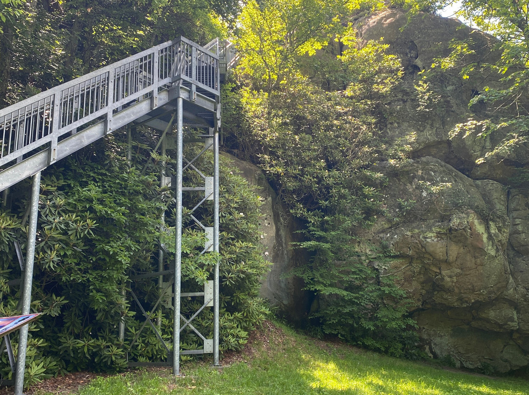 Birch Knob Observation Tower