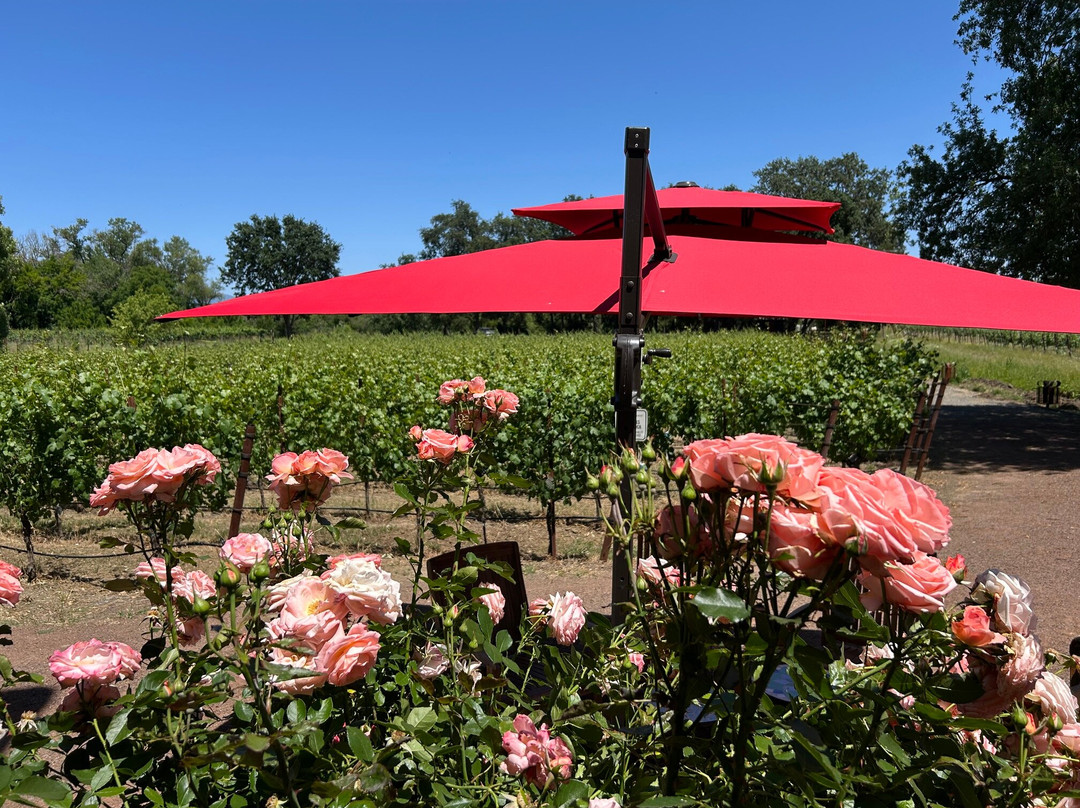 Gracianna Winery-希尔兹堡必去景点
