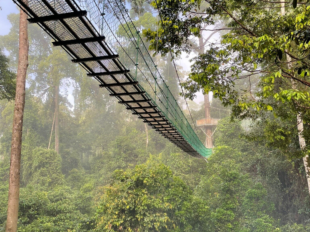 Borneo Eco Tours-亚庇必去景点