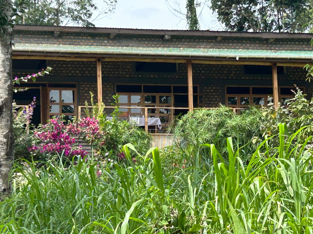 Bweza Gorilla Lodge