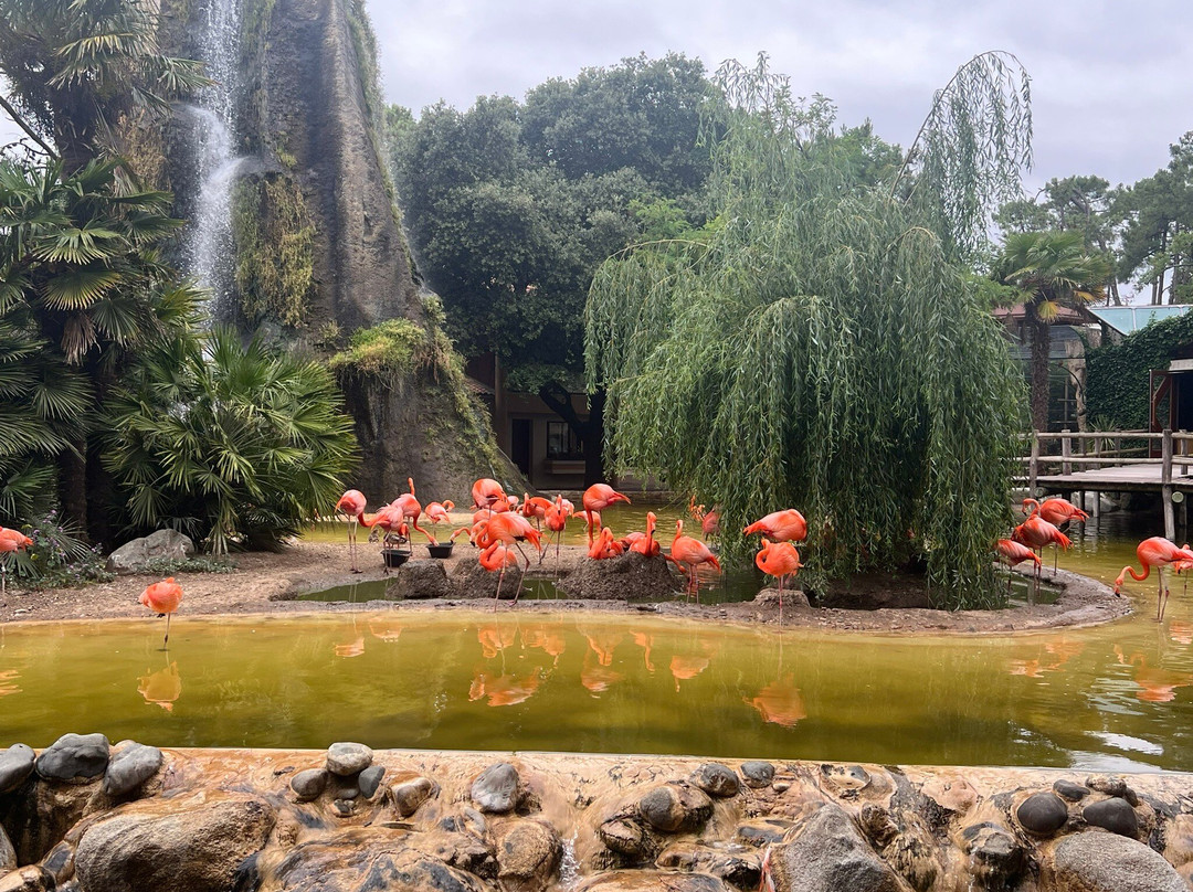 Zoo de La Palmyre-La Palmyre-Les Mathes必去景点