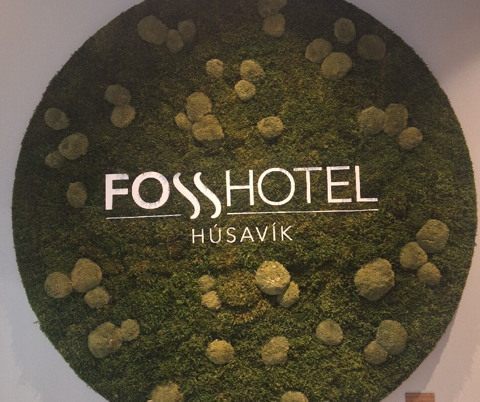 胡萨维克福萨酒店主图