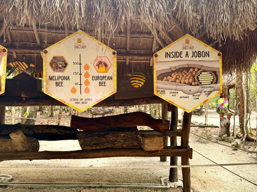 Mayan Bee Sanctuary-San Miguel de Cozumel必去景点