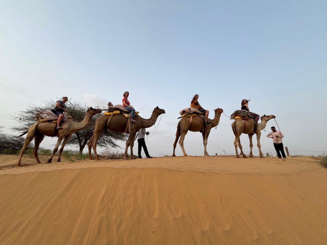 Osian Desert Safari & Overnight Camping-Osian必去景点