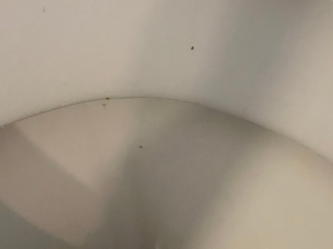 埃尔西利娅别墅酒店主图