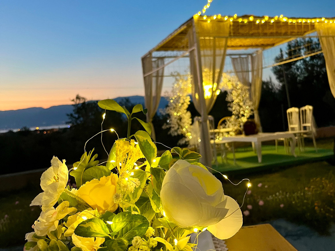 Terrace Butik Kahvaltı