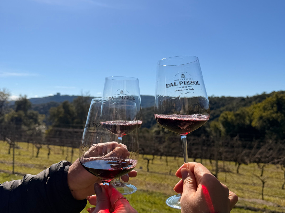 Dal Pizzol Vinhos Únicos-本图贡萨尔维斯必去景点