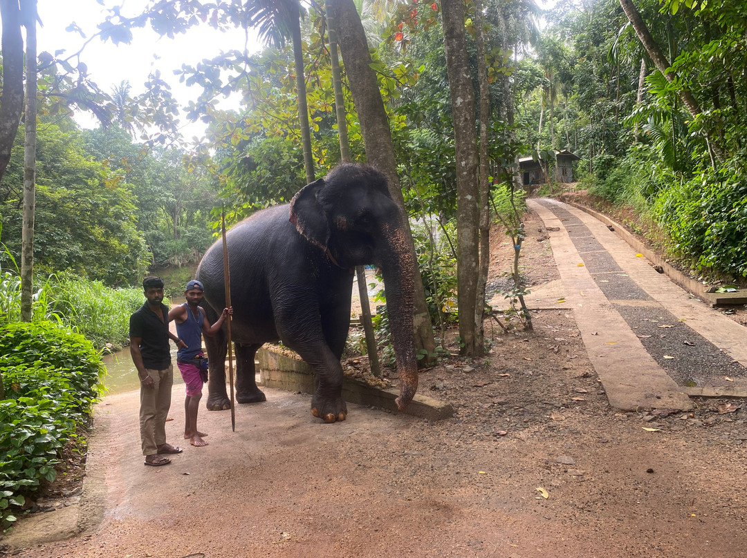 Dinu Ceylon Tours-Kammala必去景点