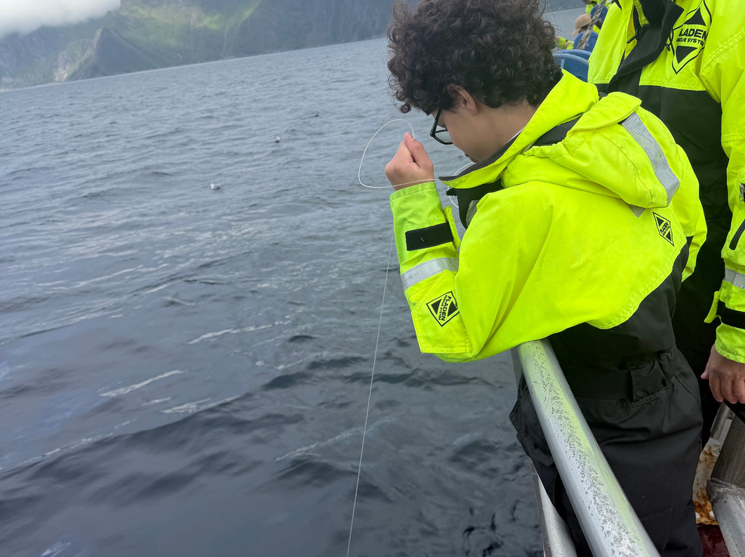 REEL Fishing And RIB Safaries-雷讷必去景点