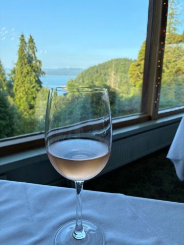斯通菲尔德城堡酒店-旅行者