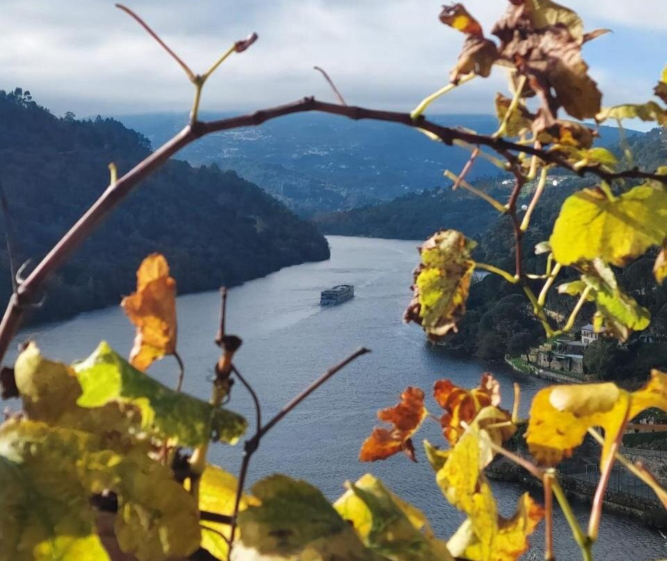 Quinta do Vale do Cabo