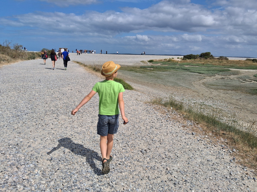 Le Hourdel-Cayeux-sur-Mer必去景点
