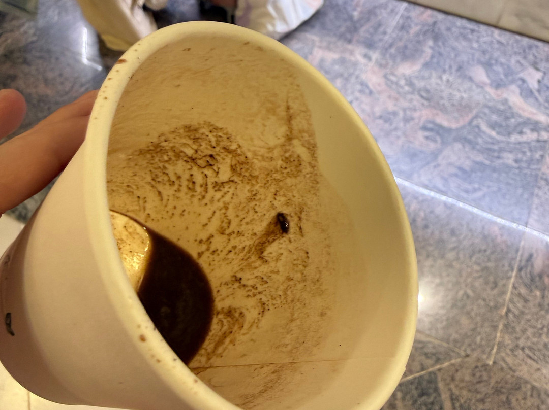 马塔斯布兰卡斯KN酒店-限成人主图
