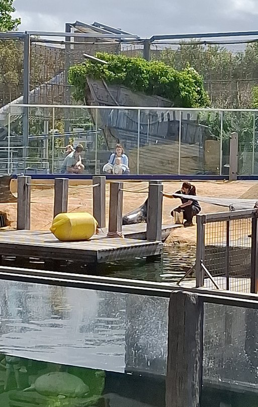 Sea Life Blankenberge-布朗肯堡必去景点