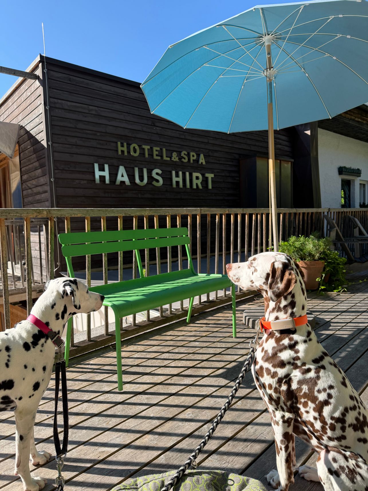 豪斯希尔特高山Spa酒店-旅行者