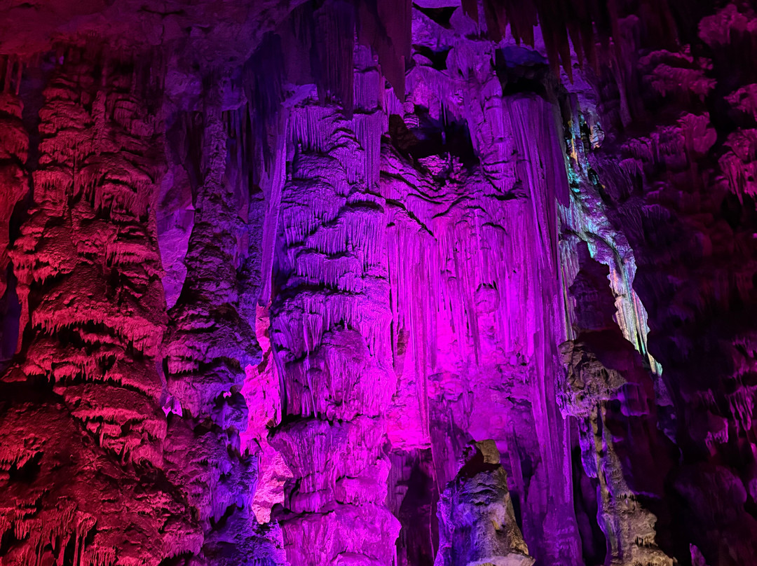Gibraltar Upper Rock Nature Reserve-直布罗陀必去景点