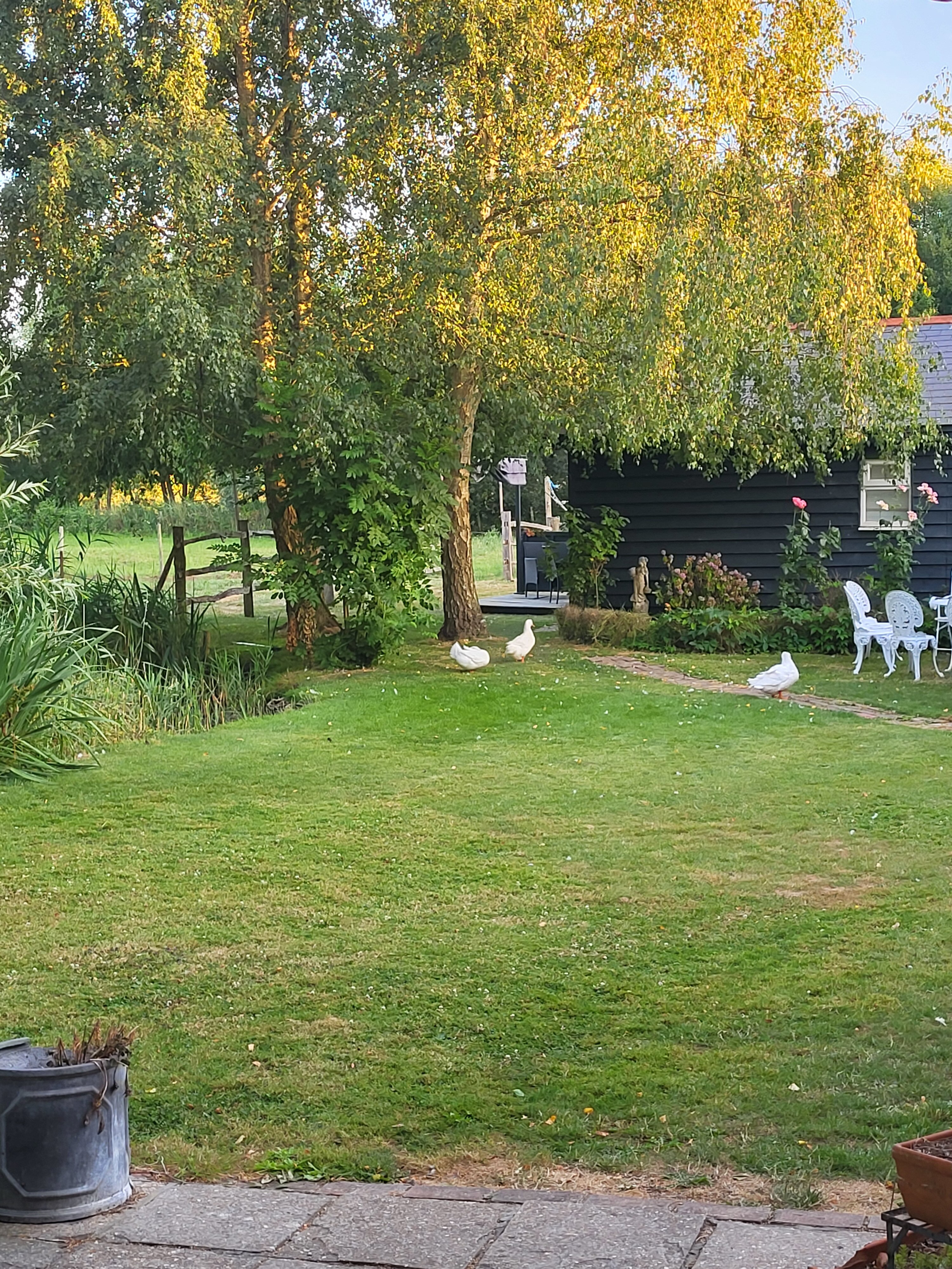 Glencoe Farm-旅行者