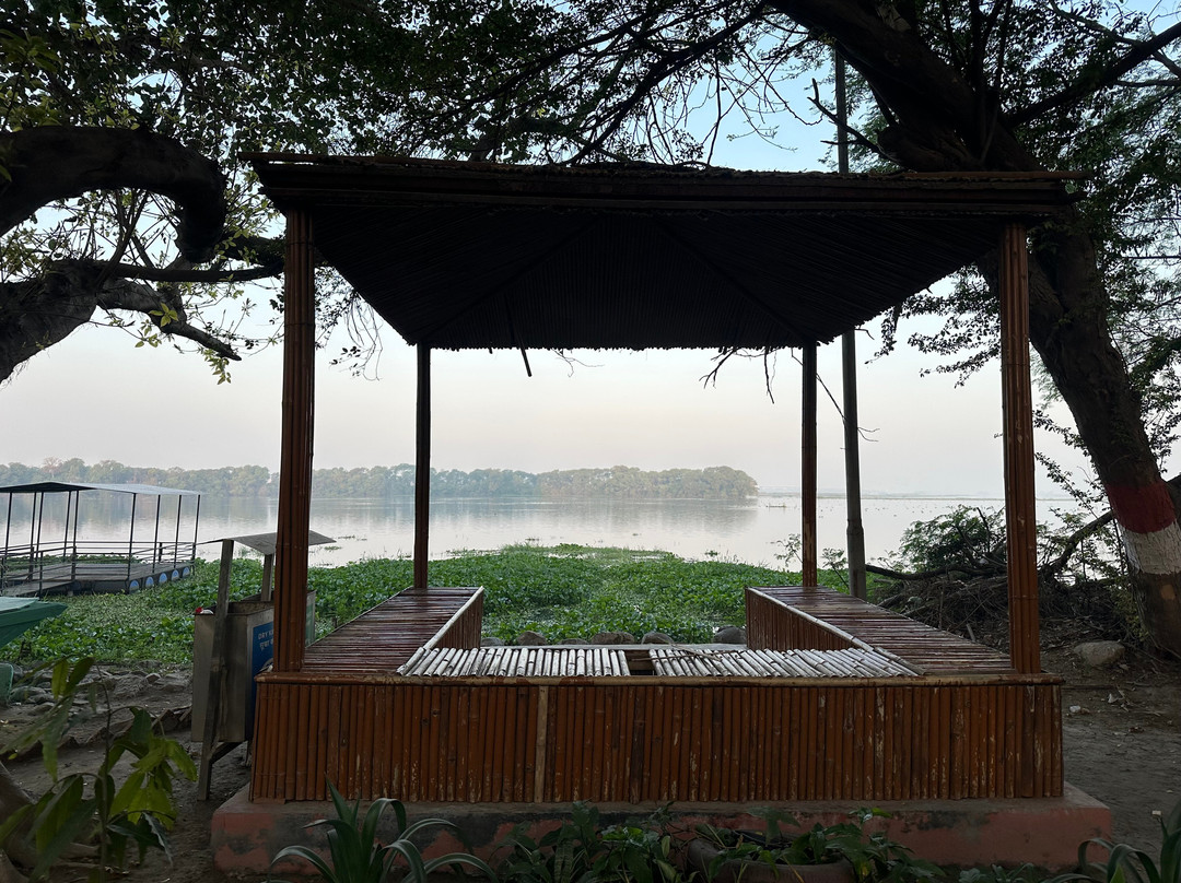 Okhla Bird Sanctuary-诺伊达必去景点