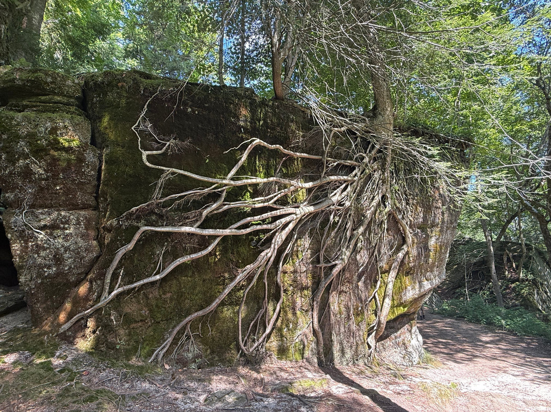 Panama Rocks Scenic Park-Panama必去景点