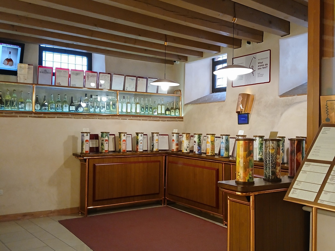 Poli Museo della Grappa-巴萨诺－德尔格拉帕必去景点