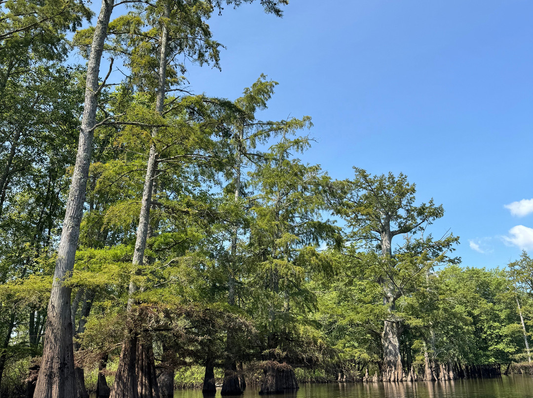 Cache Bayou Outfitters-Ullin必去景点