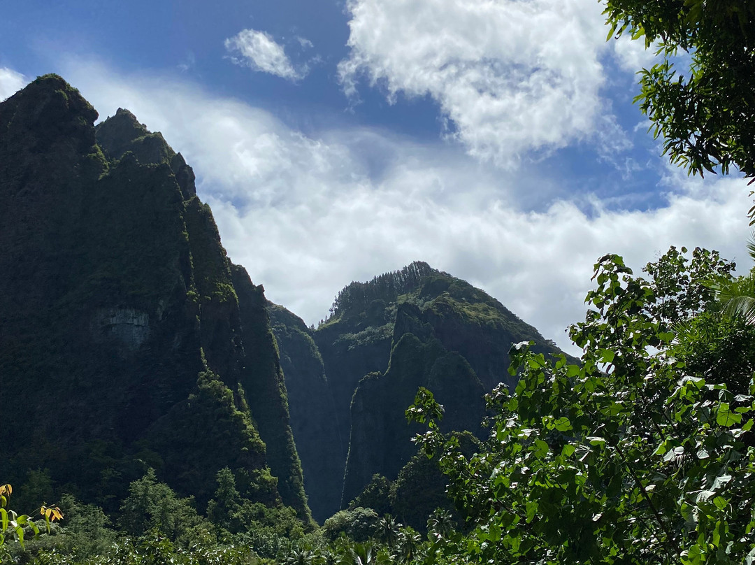 Hakaui Valley