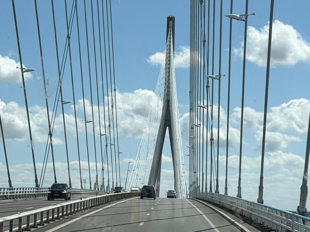 Pont de Normandie-翁弗勒尔必去景点
