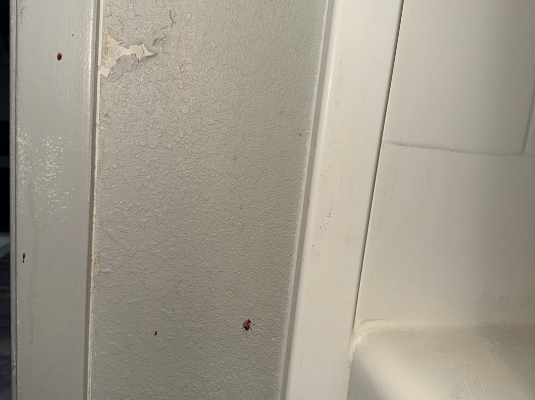华盛顿地铁首都环带拉昆塔温德姆套房酒店主图