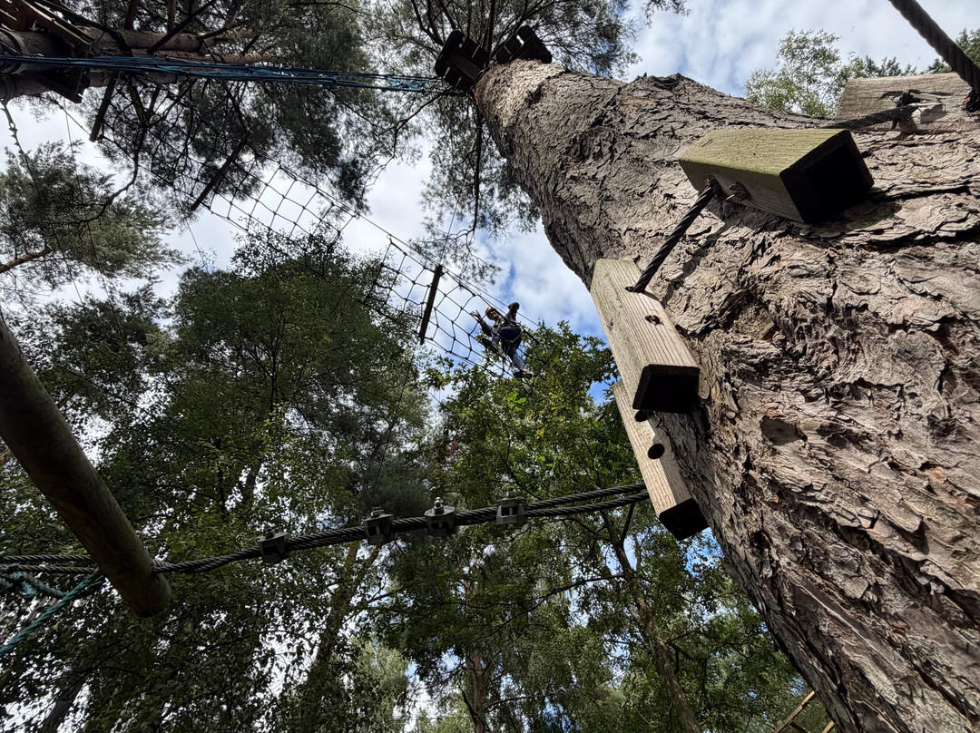 Multilevel Ziplines & Klätterpark-Hassleholm必去景点