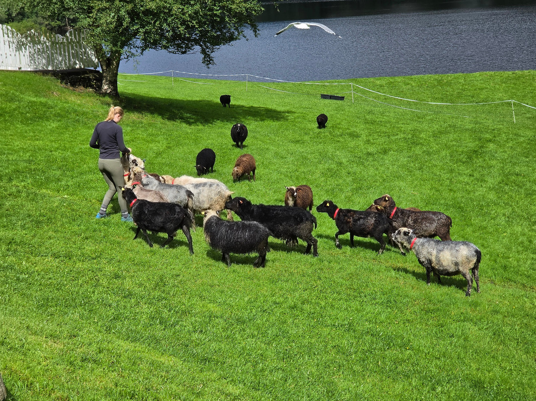 Øvre-Eide Gard - Farm-卑尔根必去景点