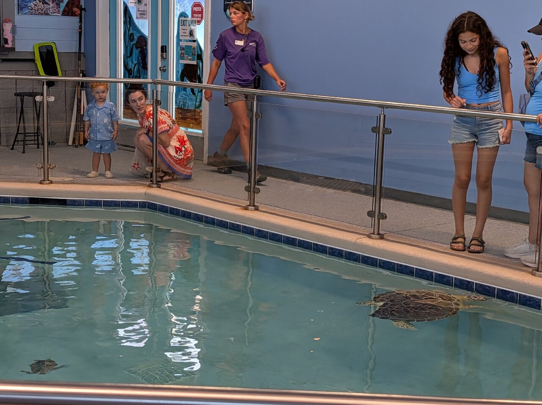 Navarre Beach Sea Turtle Conservation Center-纳瓦拉必去景点