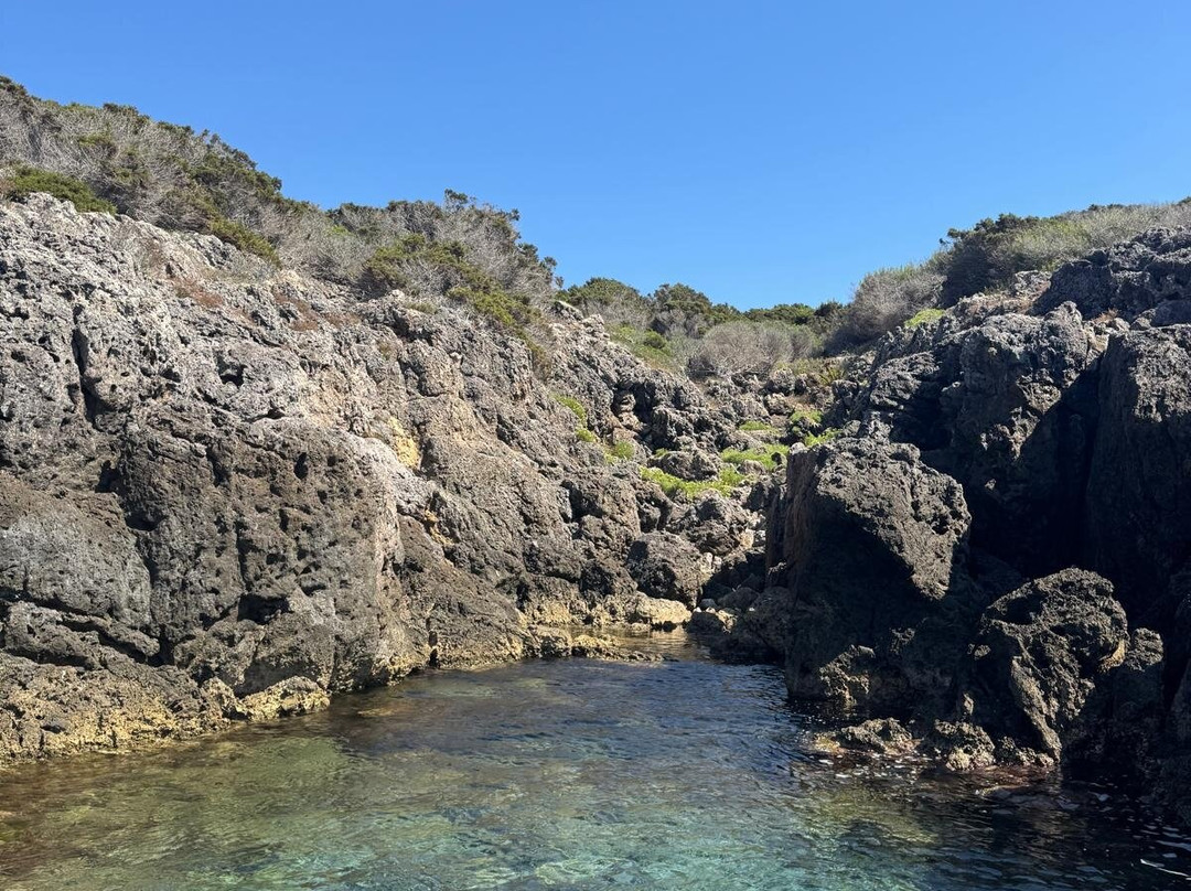 Max Shark Diving-Isola del Giglio必去景点