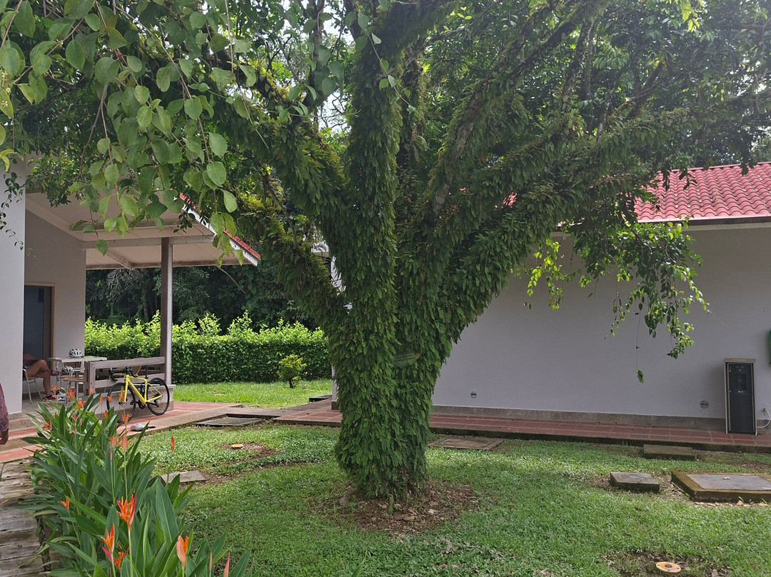 Hotel Alcaraván Colsubsidio主图