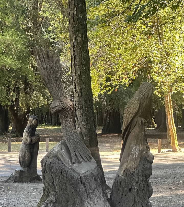Chandelier Drive-Through Tree-莱吉特必去景点
