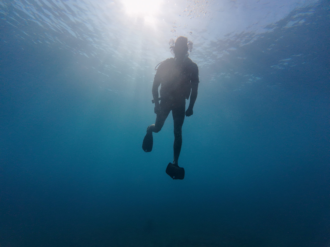Blue Marlin Dive Gili Air-Gili Air必去景点