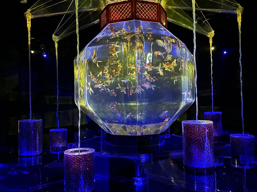 Art Aquarium-Ginza必去景点