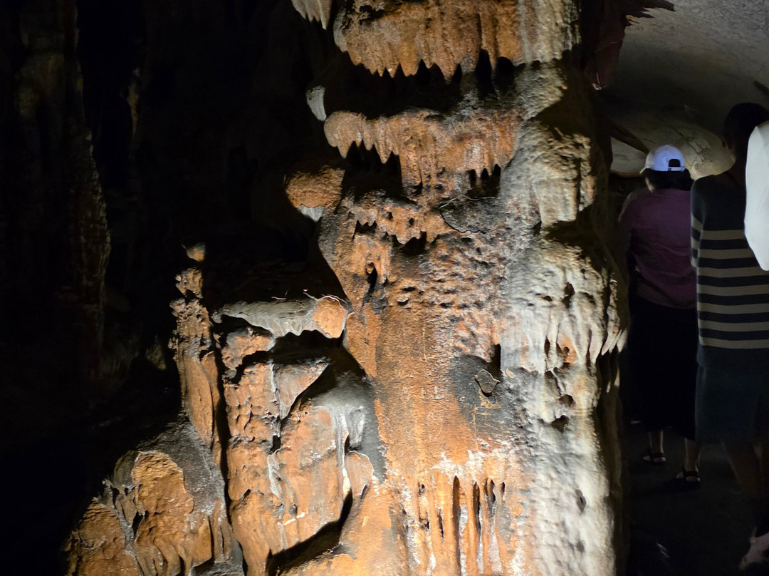 Melrose Caverns-哈里森堡必去景点
