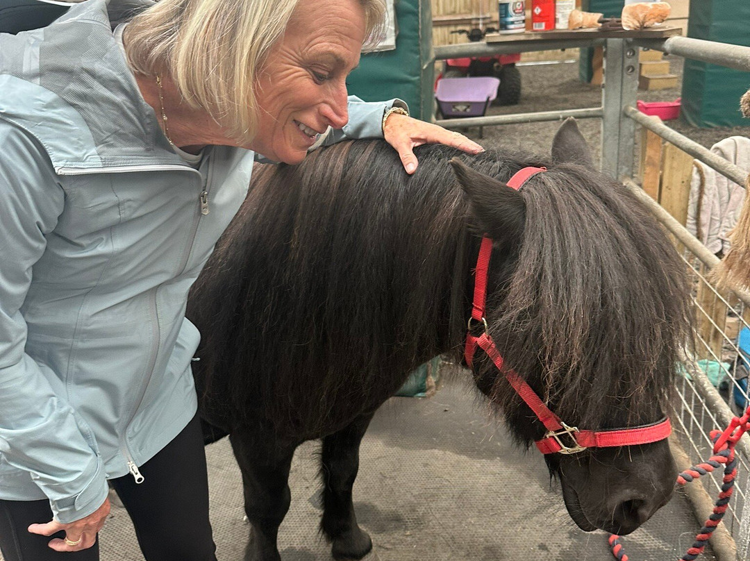The Shetland Pony Experience-Papil必去景点