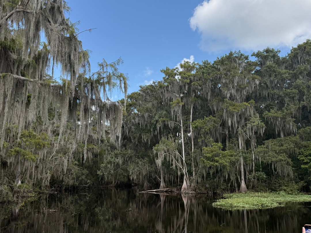 Swamp Fever Airboat Adventures-Lake Panasoffkee必去景点