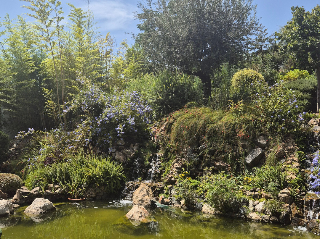 Jardin Botanico Molino de Inca-托雷莫里诺斯必去景点