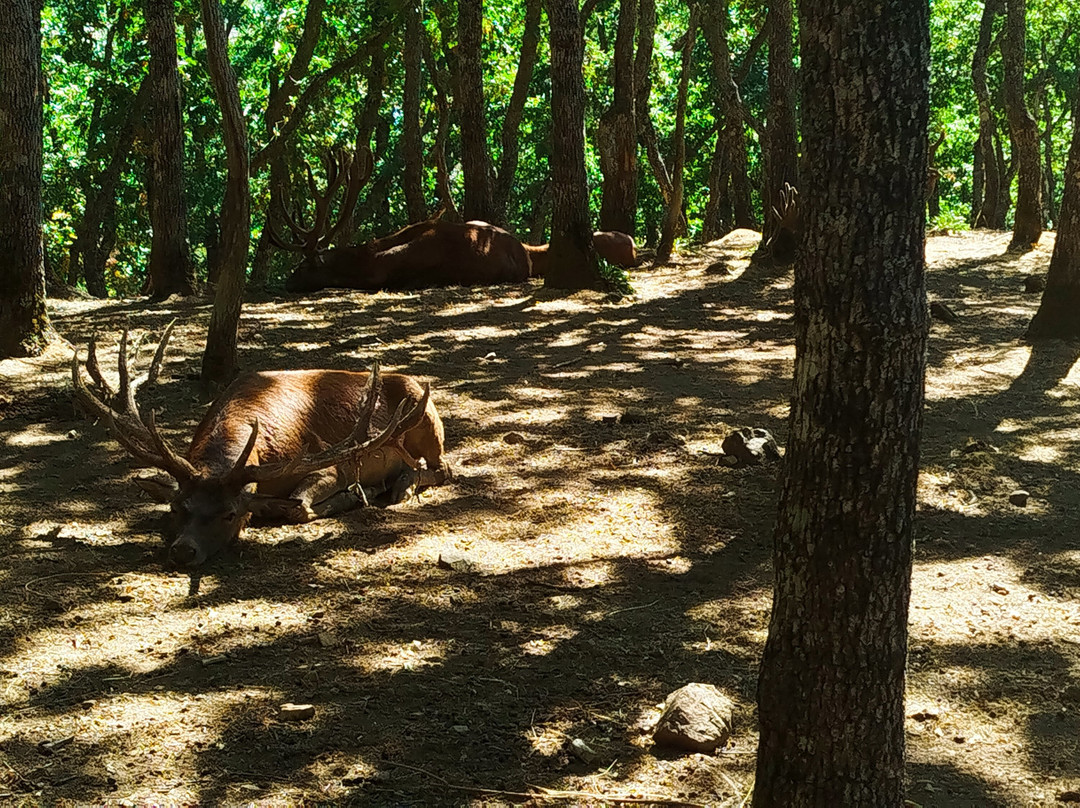 Museo de la Fauna Salvaje-Bonar必去景点