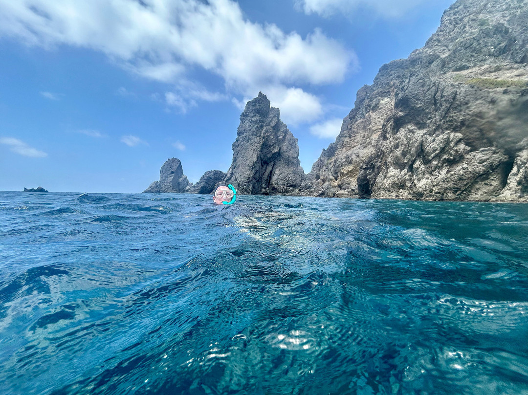 Sea Saba Dive Center-Windwardside必去景点